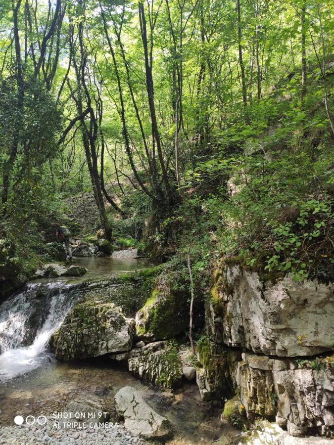 Agriturismo Revena Brentino Belluno Kültér fotó