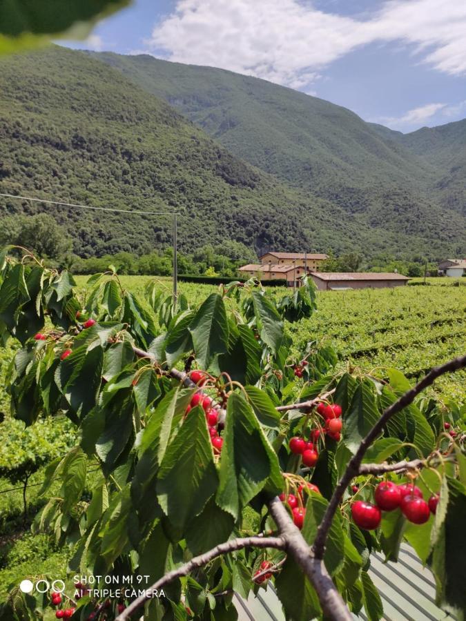 Agriturismo Revena Brentino Belluno Kültér fotó