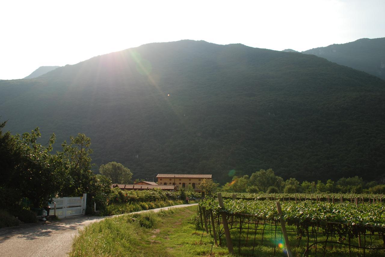 Agriturismo Revena Brentino Belluno Kültér fotó